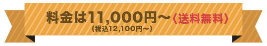 料金は10000円~(送料無料)