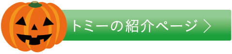 トミーの紹介ページ