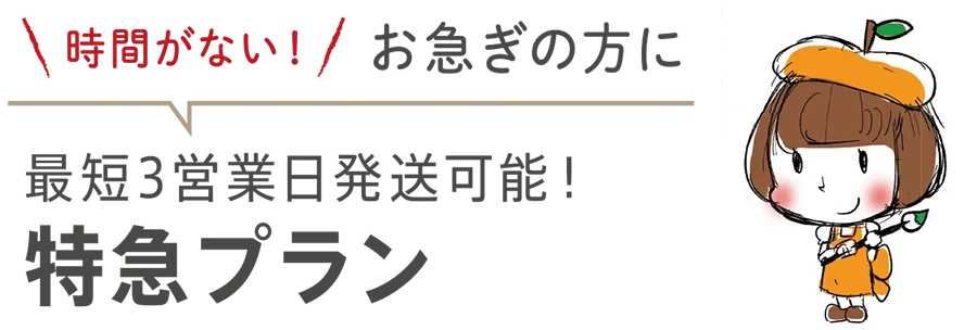時間がない！お急ぎの方に最短３営業日発送可能！特急プラン
