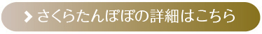 さくらたんぽぽの詳細はこちら