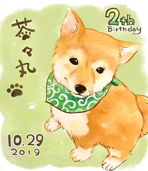 柴犬の誕生日祝いの似顔絵