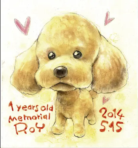 トイプードルの似顔絵