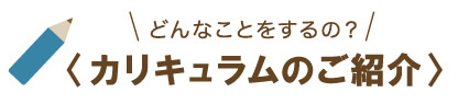 どんなことをするの？＜カリキュラムのご紹介＞