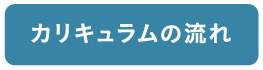 カリキュラムの流れ