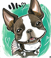 ほしきのペット似顔絵